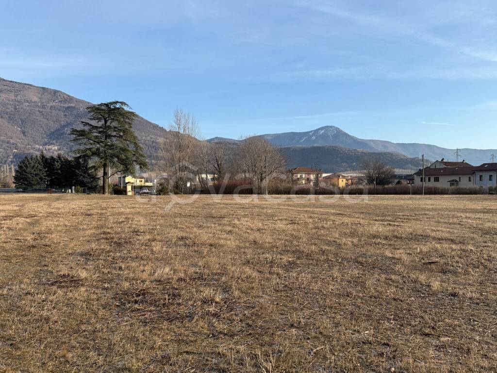 immagine annuncio 3 di 6