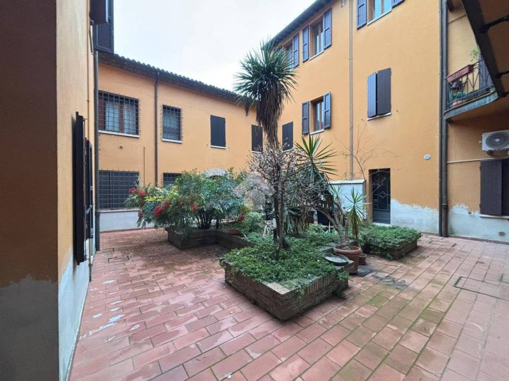 immagine annuncio 6 di 8