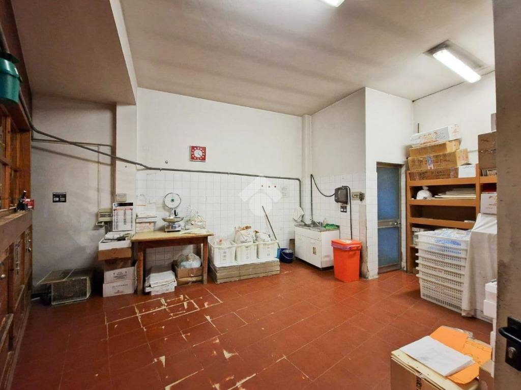 immagine annuncio 4 di 11