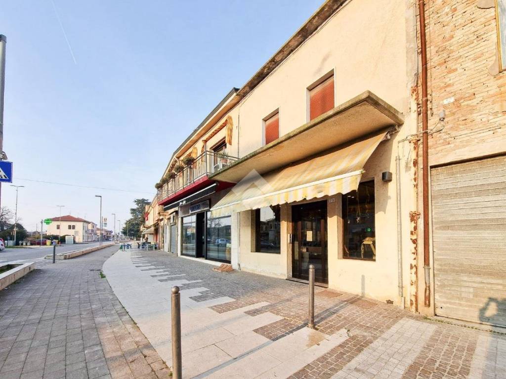 immagine annuncio 5 di 11