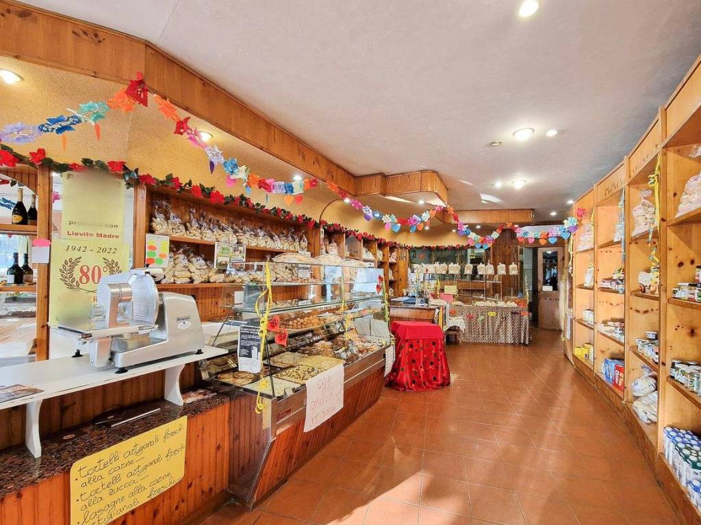 immagine annuncio 6 di 11