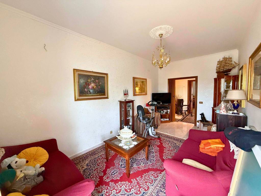 immagine annuncio 12 di 15