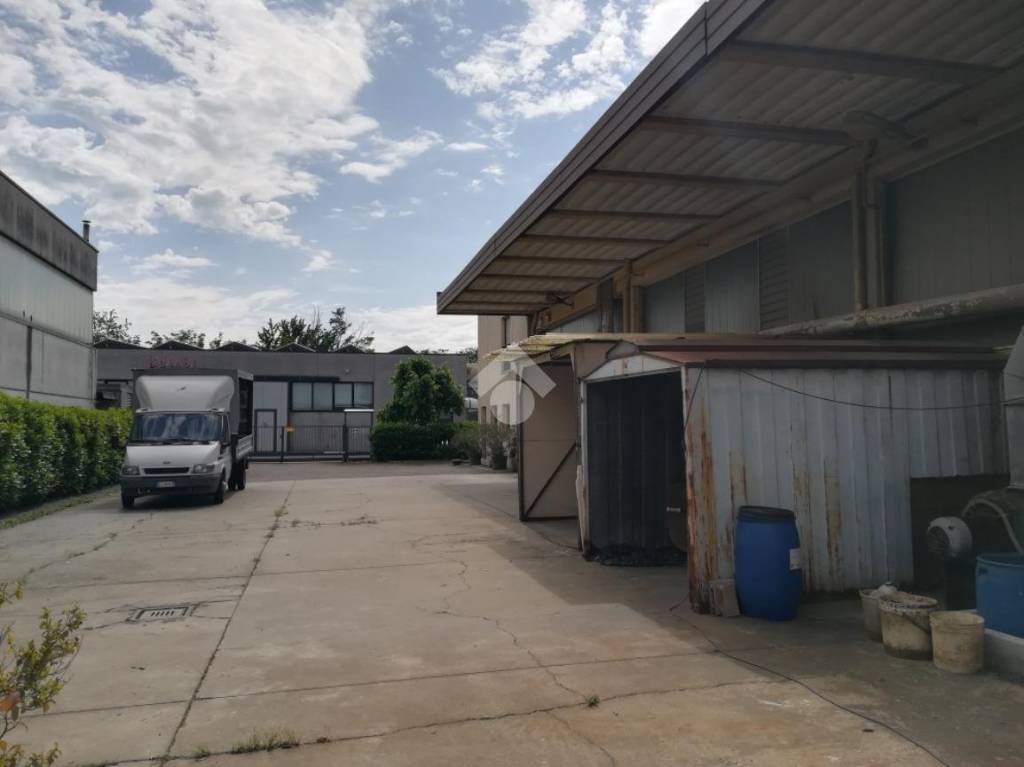 immagine annuncio 10 di 15