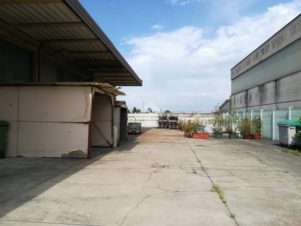 immagine annuncio 14 di 15