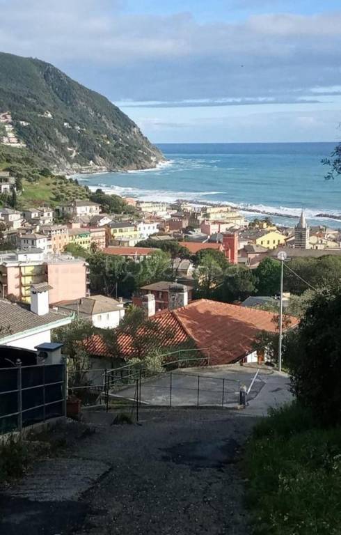 immagine annuncio 10 di 14