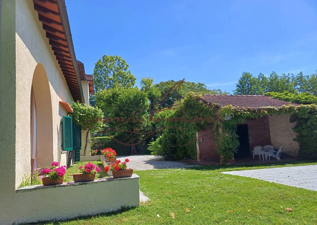 immagine annuncio 12 di 14