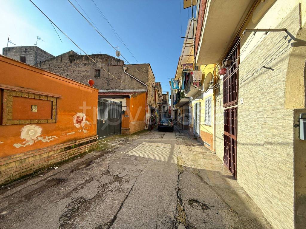 immagine annuncio 12 di 14