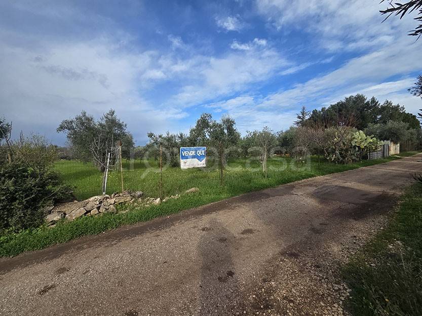 immagine annuncio 1 di 3