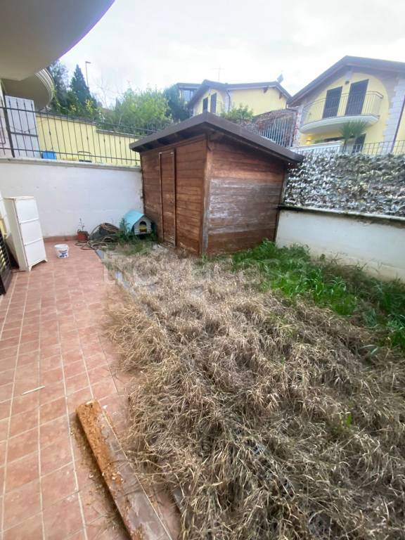 immagine annuncio 1 di 12