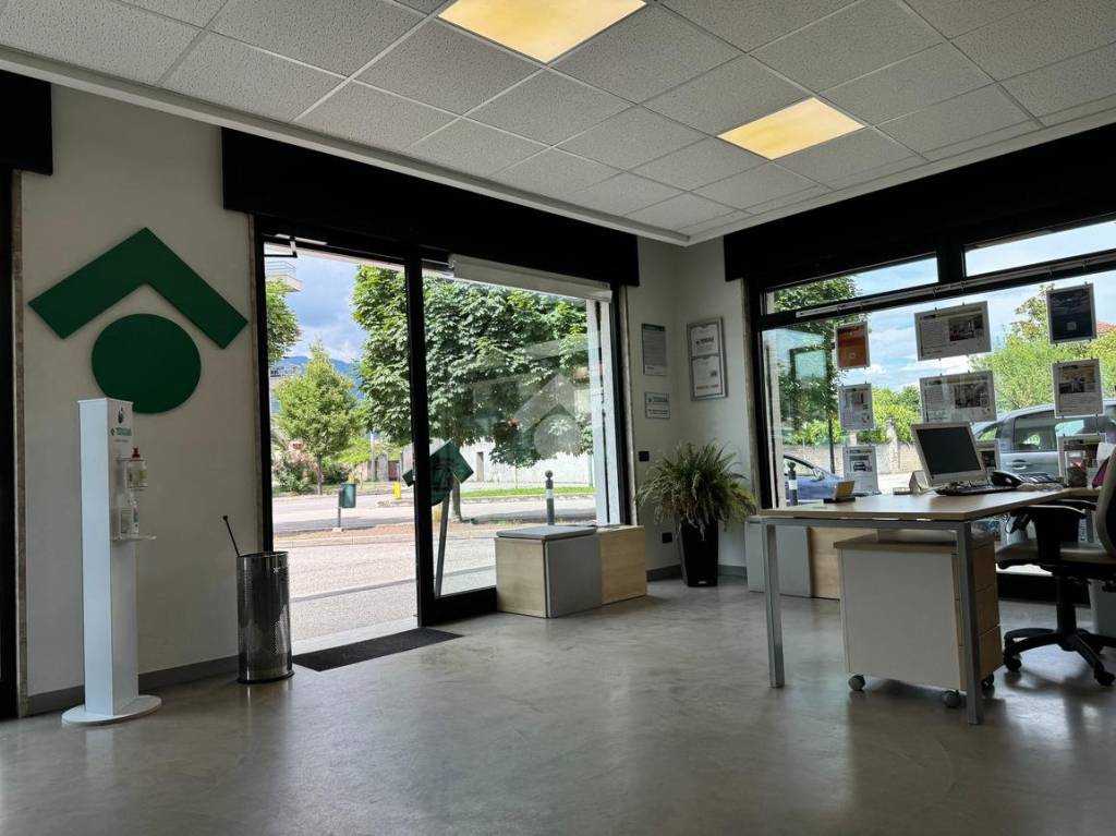 immagine annuncio 11 di 14