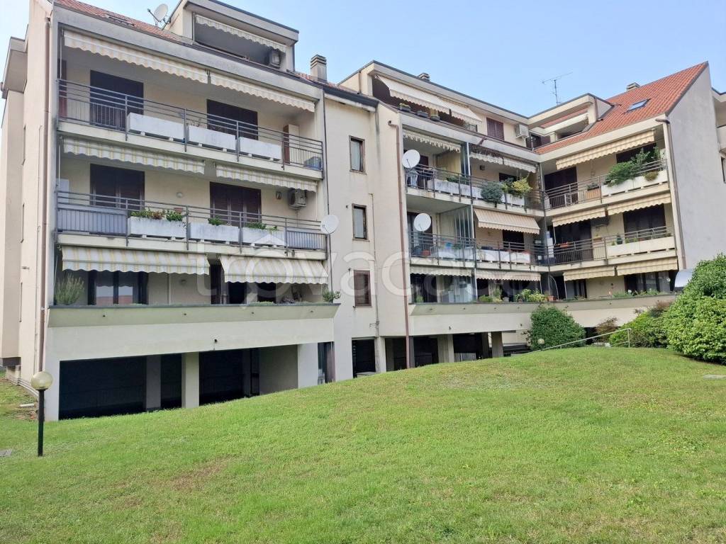 immagine annuncio 2 di 15