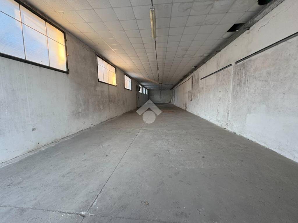 immagine annuncio 2 di 8