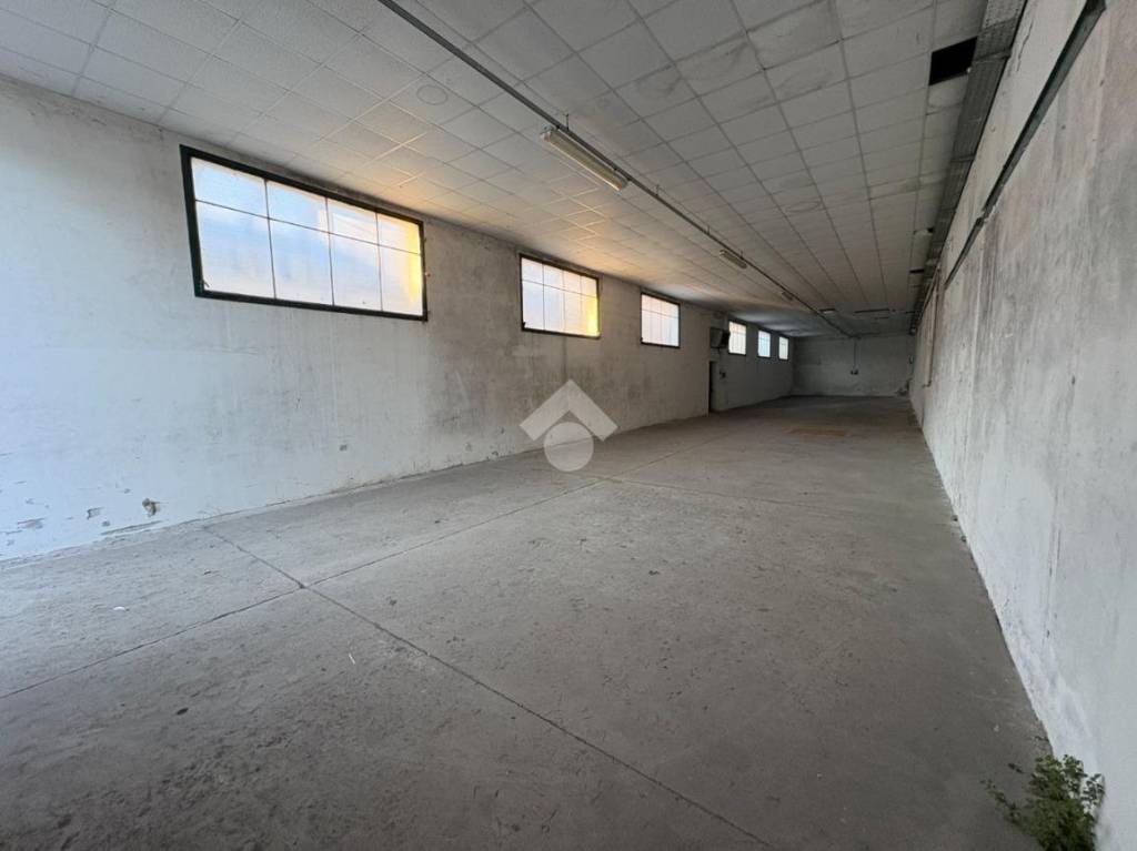 immagine annuncio 3 di 8