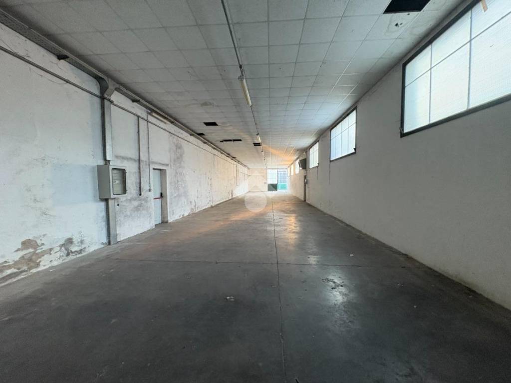 immagine annuncio 4 di 8