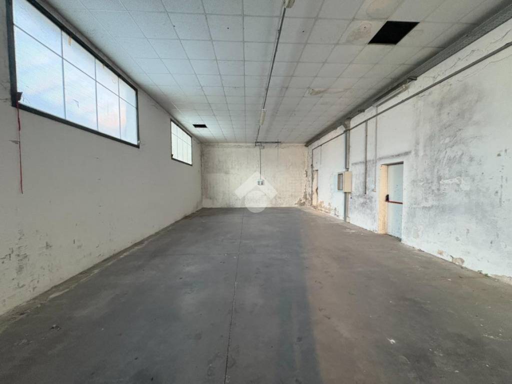 immagine annuncio 5 di 8