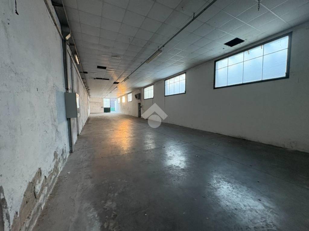 immagine annuncio 6 di 8