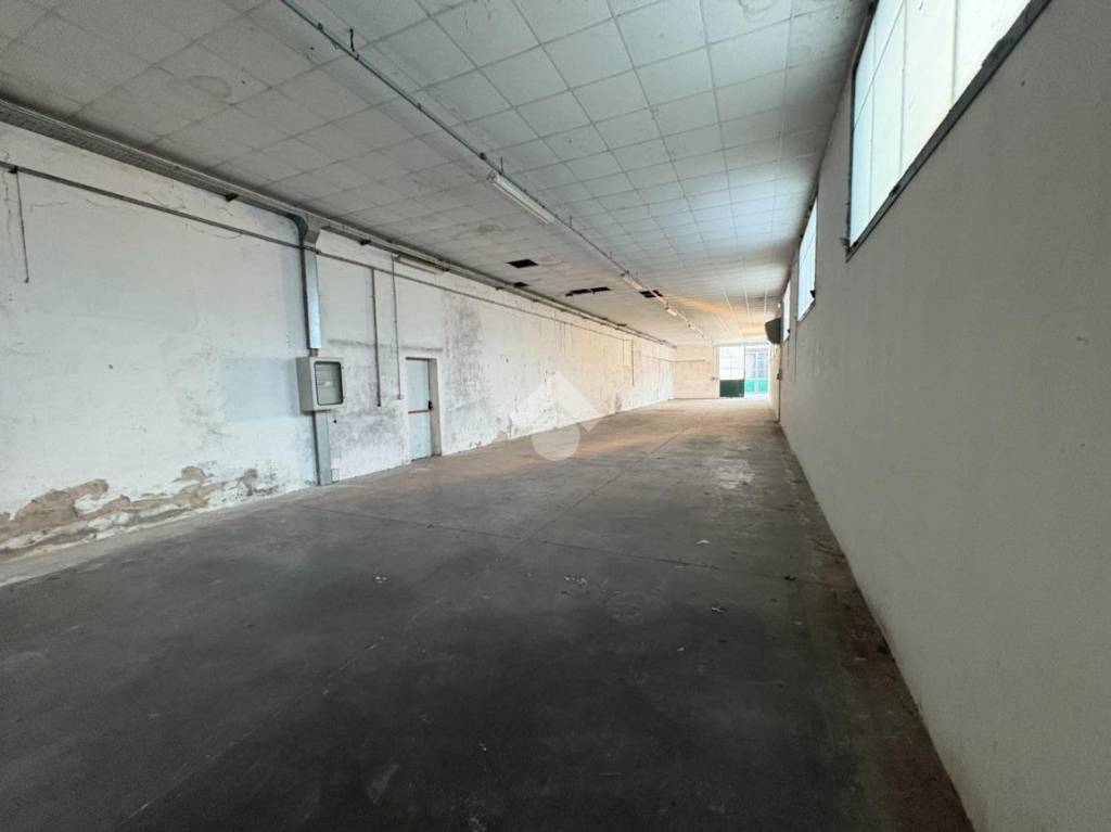 immagine annuncio 7 di 8