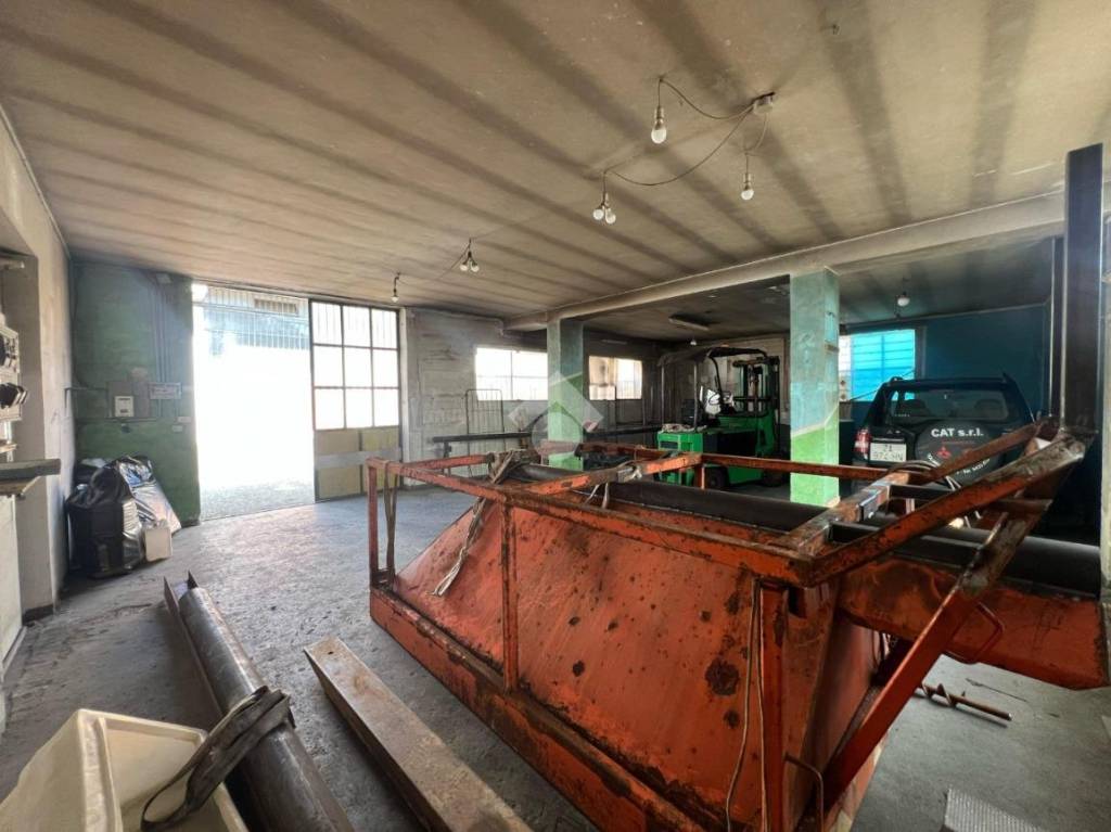 immagine annuncio 3 di 15