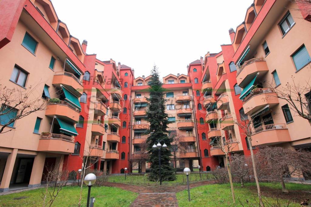 immagine annuncio 6 di 15