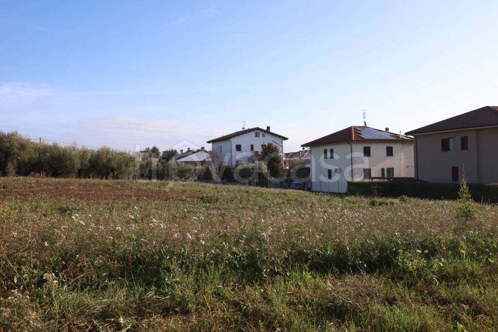 immagine annuncio 3 di 8