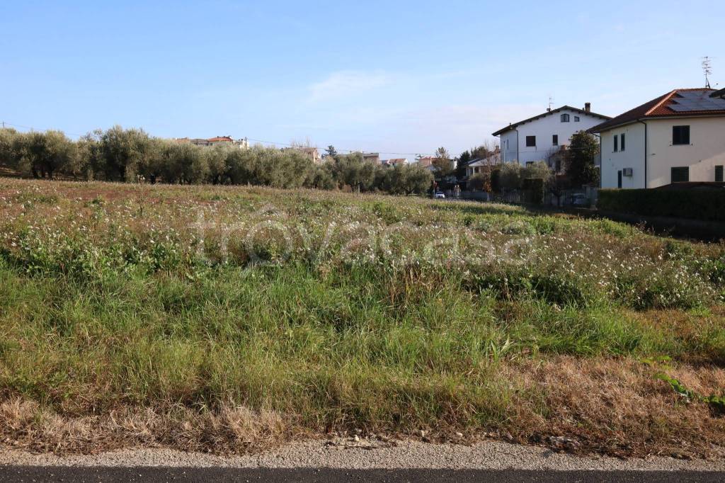 immagine annuncio 4 di 8