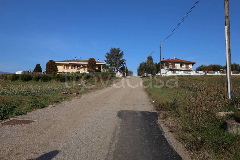 immagine annuncio 6 di 8