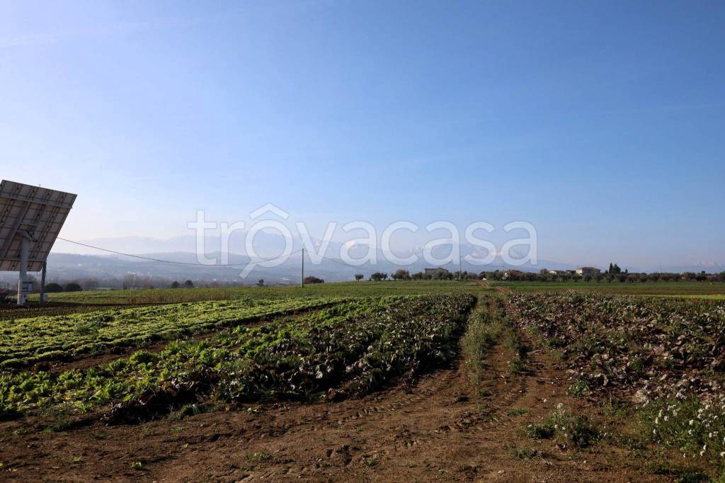 immagine annuncio 7 di 8