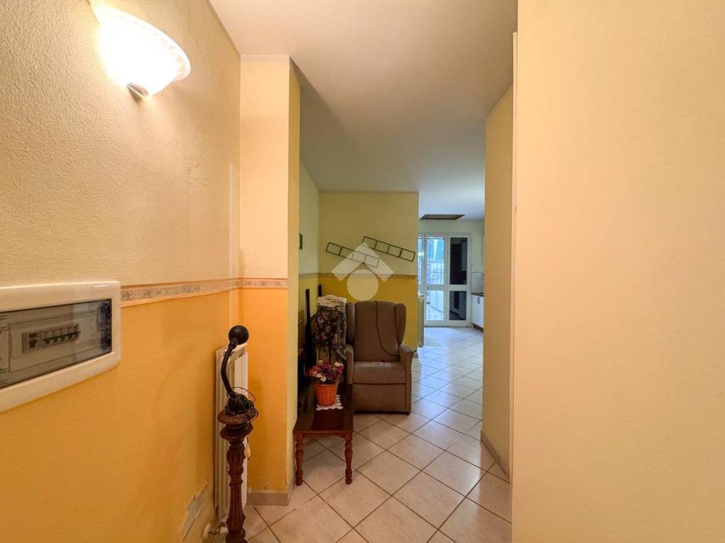 immagine annuncio 3 di 12