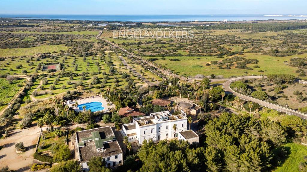 immagine annuncio 11 di 12