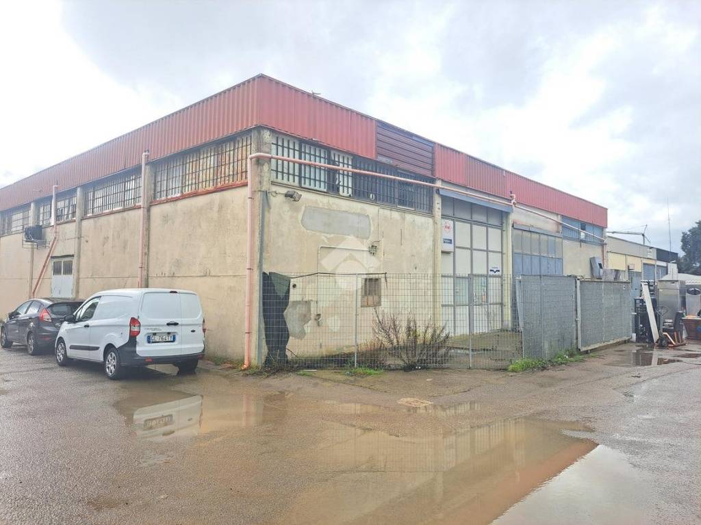 immagine annuncio 1 di 12