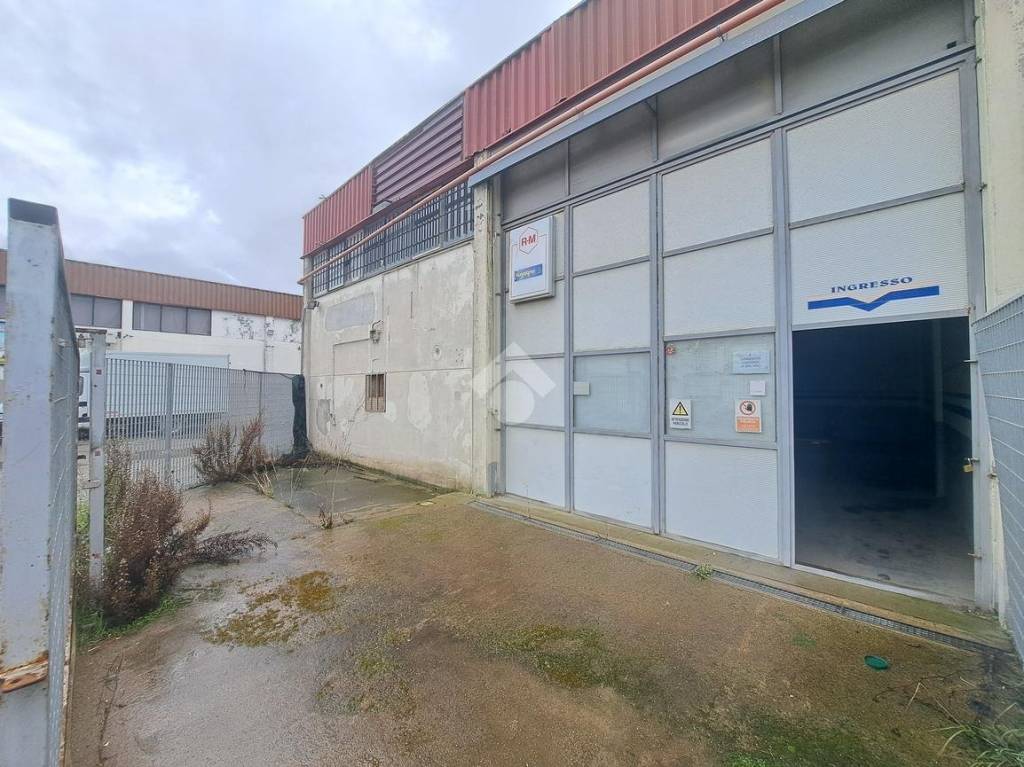 immagine annuncio 2 di 12