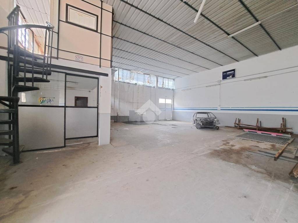 immagine annuncio 3 di 12