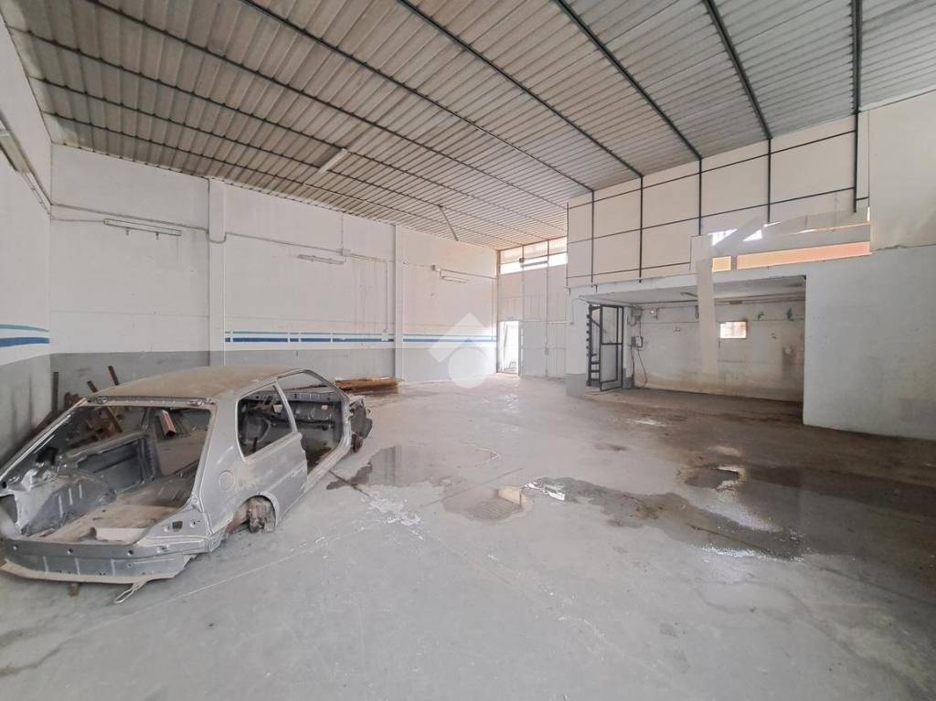 immagine annuncio 4 di 12