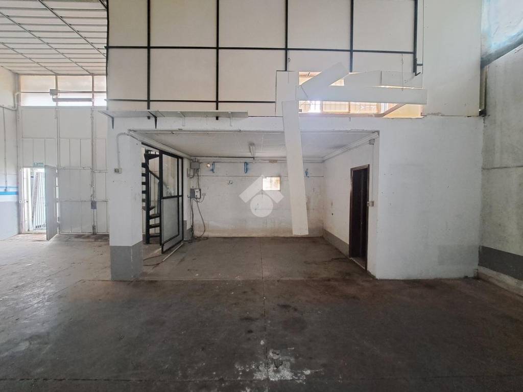 immagine annuncio 5 di 12