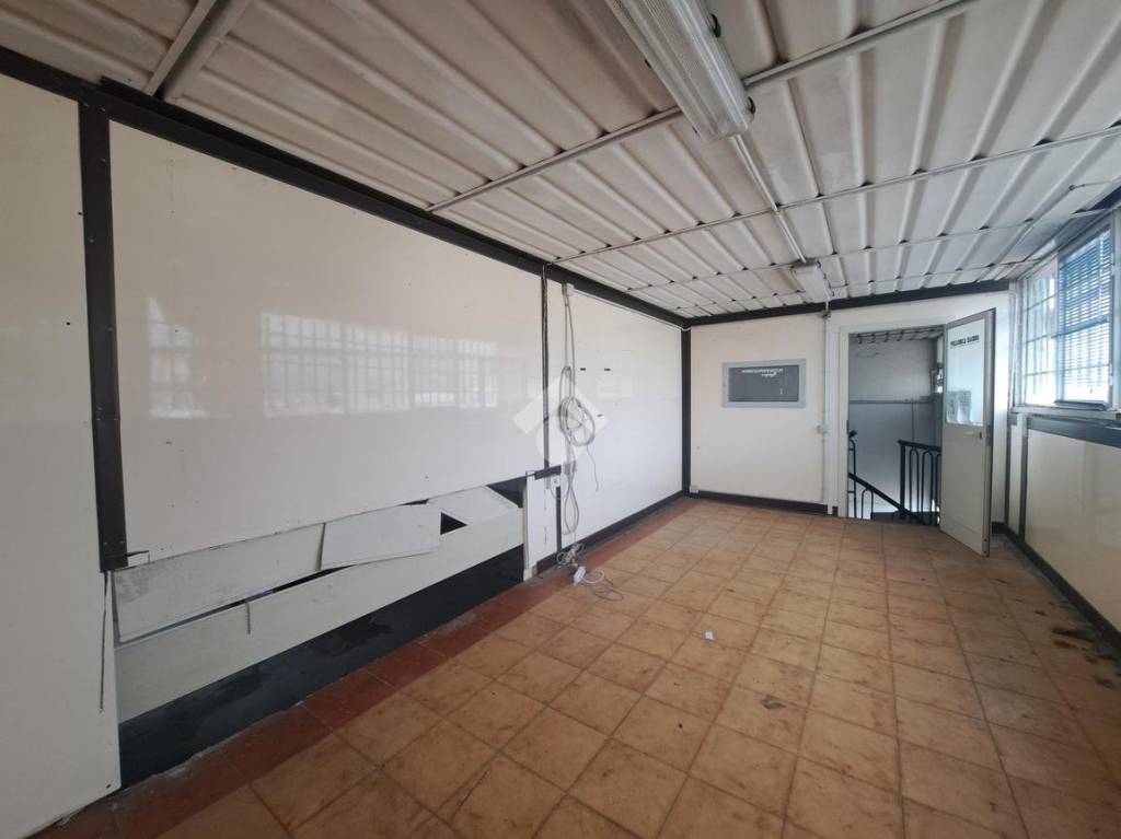 immagine annuncio 9 di 12