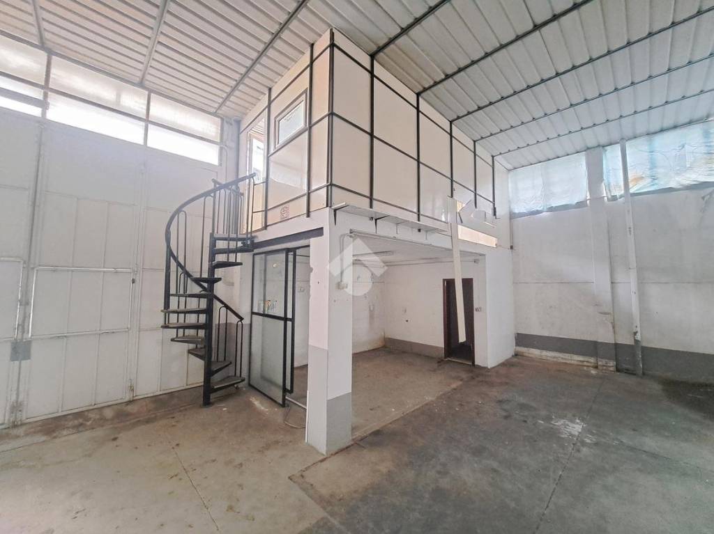 immagine annuncio 11 di 12