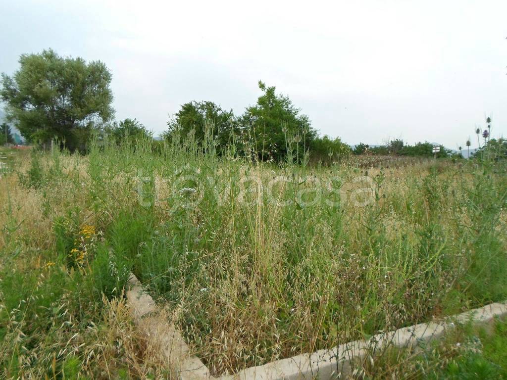 immagine annuncio 2 di 3