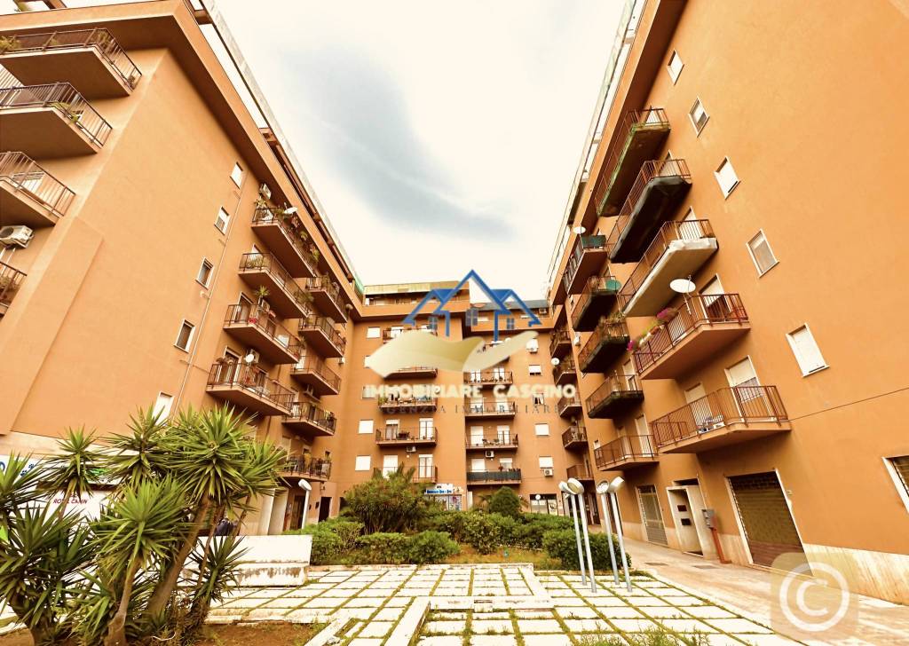 immagine annuncio 1 di 8