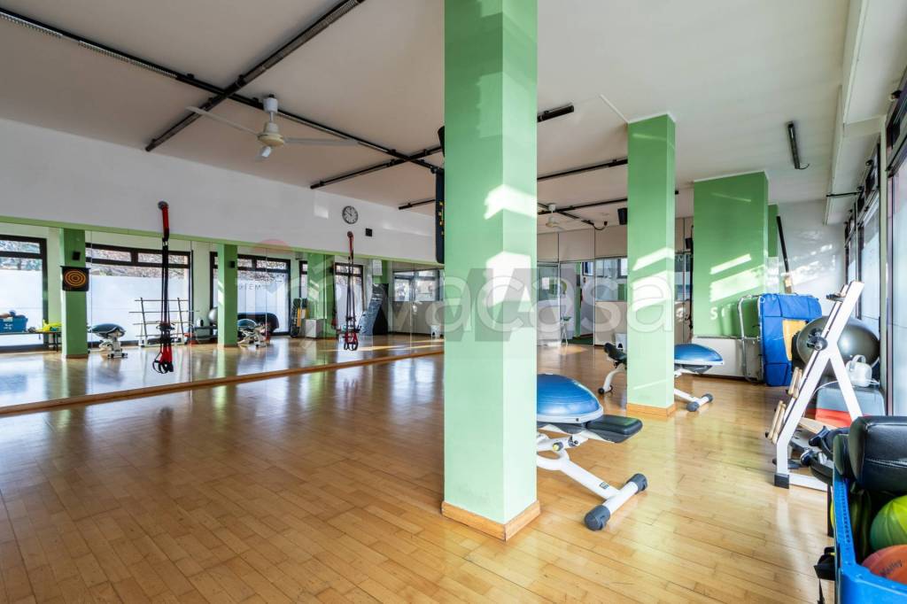 immagine annuncio 5 di 15