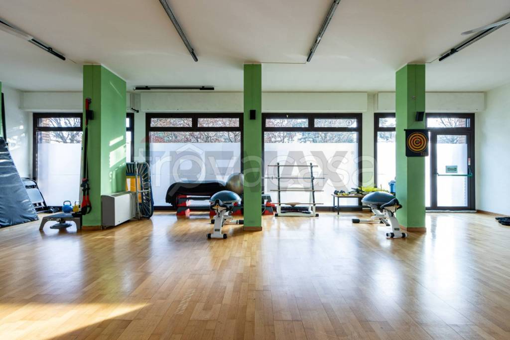 immagine annuncio 8 di 15