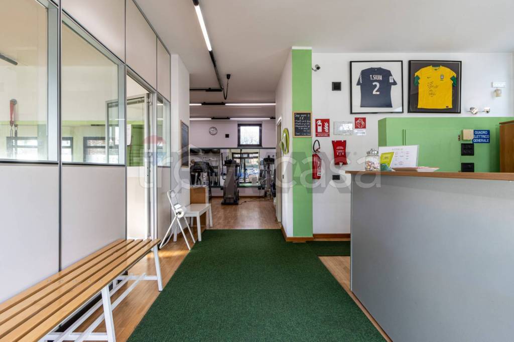 immagine annuncio 9 di 15