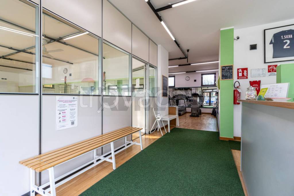 immagine annuncio 11 di 15