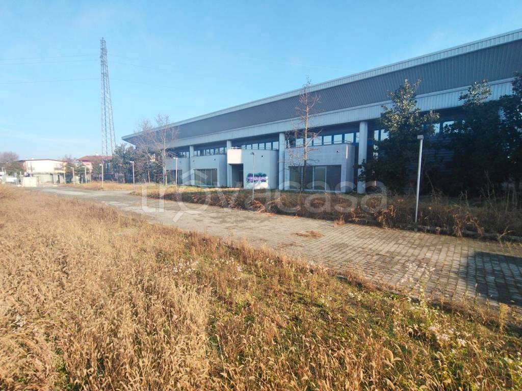 immagine annuncio 5 di 15