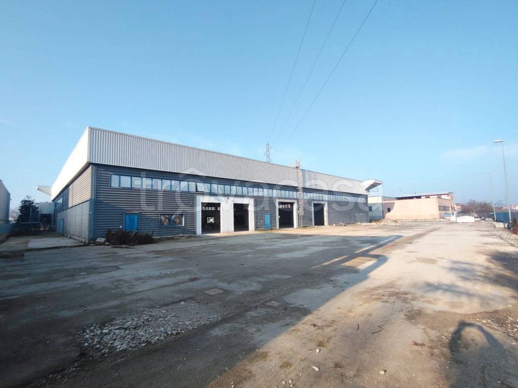 immagine annuncio 8 di 15