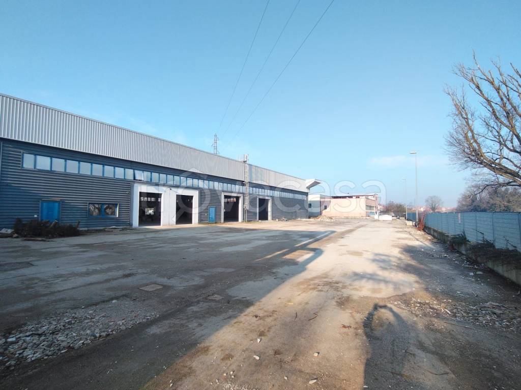 immagine annuncio 10 di 15