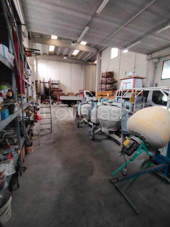 immagine annuncio 9 di 15