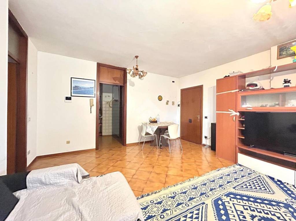 immagine annuncio 2 di 13