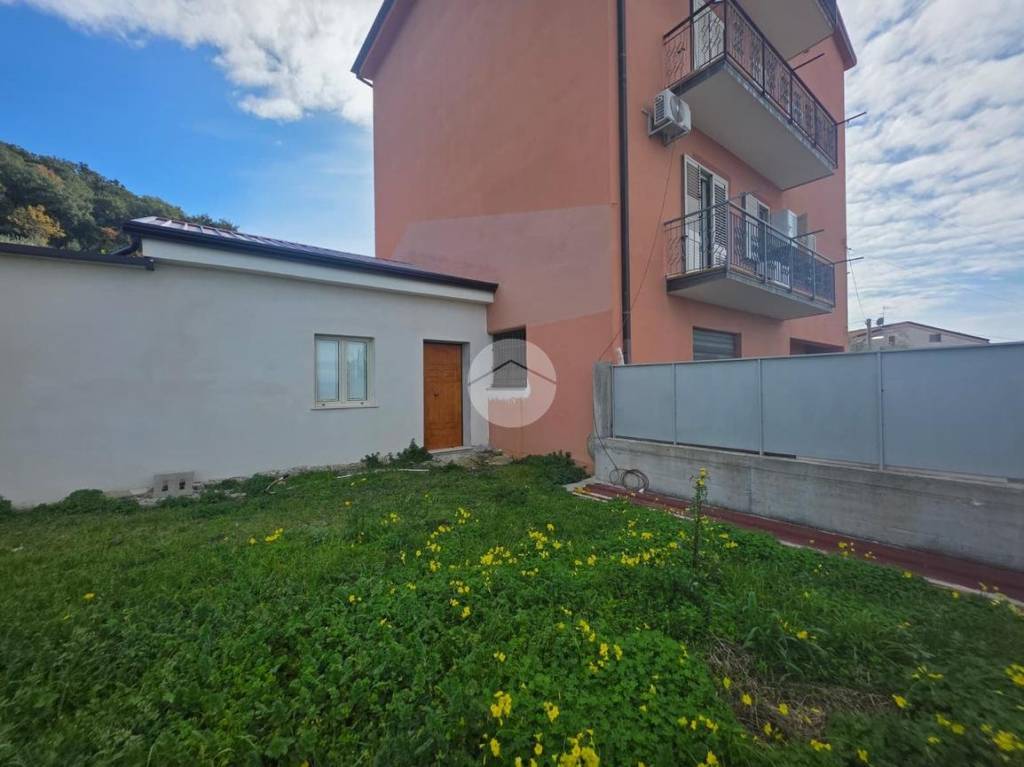 immagine annuncio 1 di 12