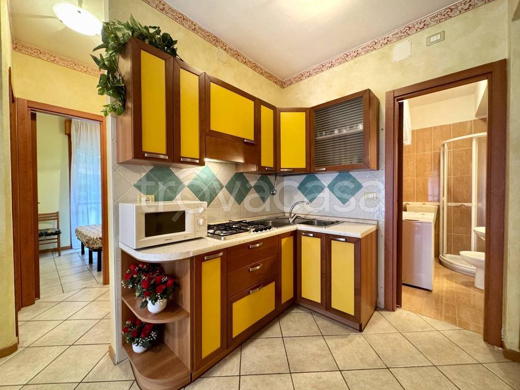 immagine annuncio 7 di 12