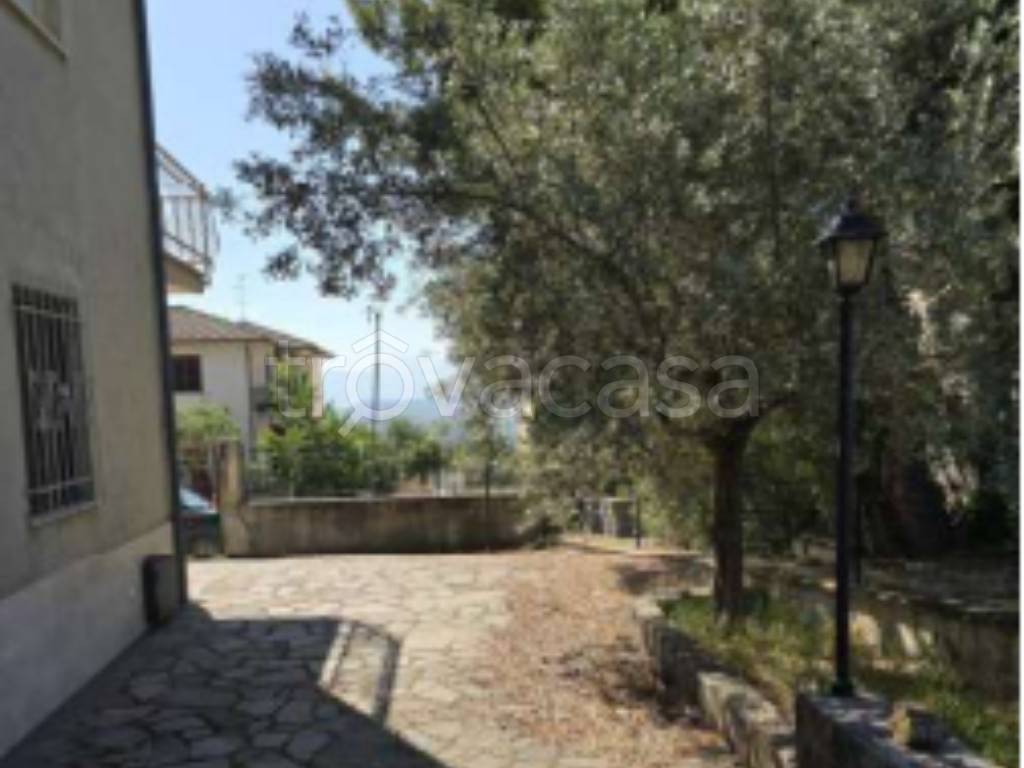 immagine annuncio 4 di 14